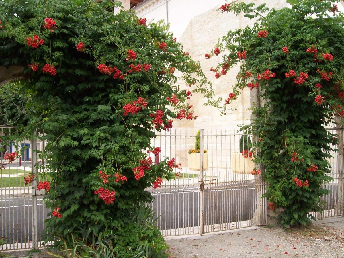 Bed and breakfast Château La Gentilhommière du Puits Notre-Dame 30 rue de l'église 24110 Saint Léon sur l'Isle Extérieur photo